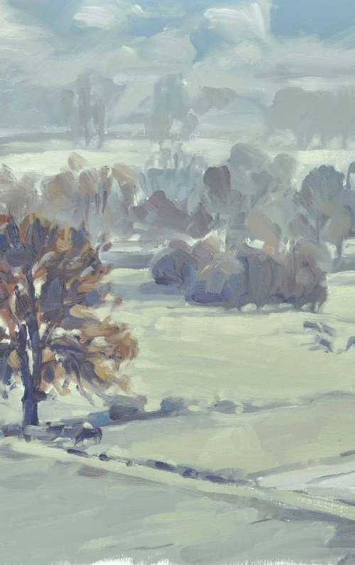 November 9, morning mists by ANNE BAUDEQUIN