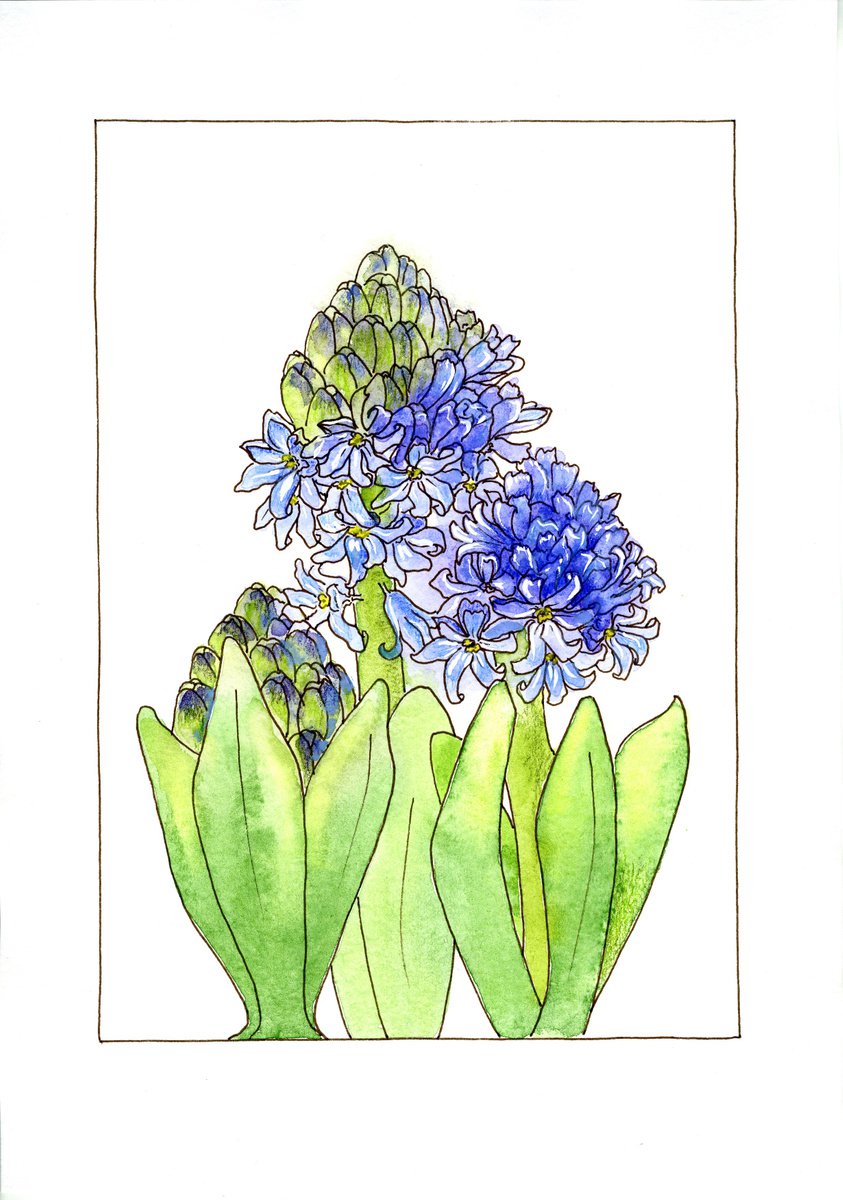 Hyacinth flowers mixed media illustration by Olga Ivanova