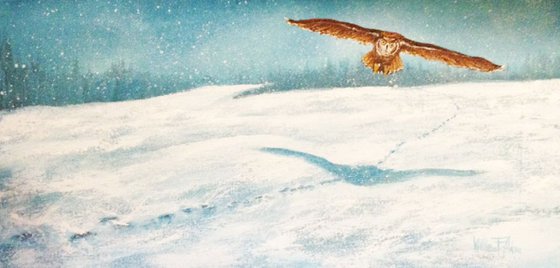 "Snow Flight" (Reduced Price)