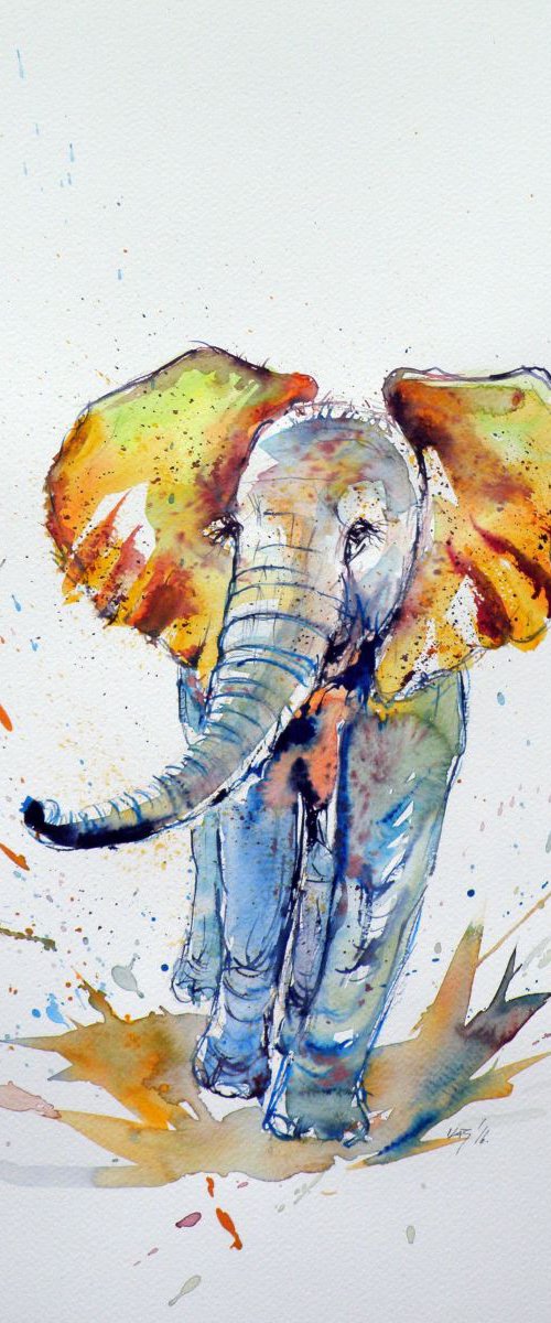 Colorful elephant by Kovács Anna Brigitta