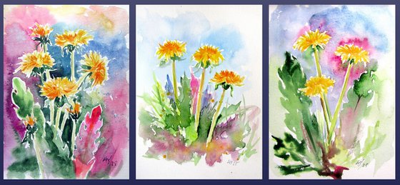 Dandelions collection