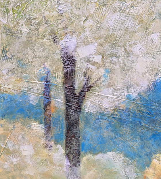 Cotton Trees