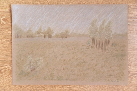 Earthy tones field landscape