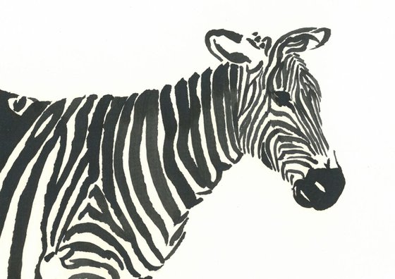 Zebra I Animal Drawing
