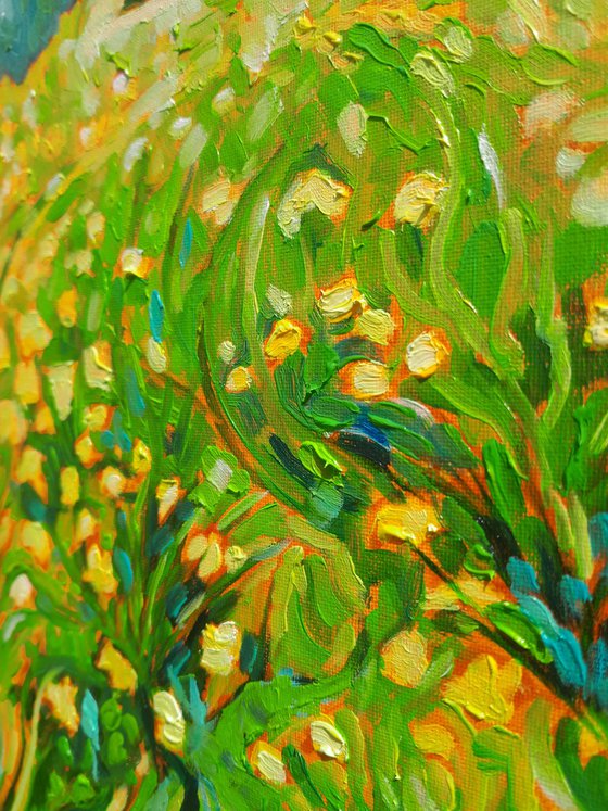 Dandelion Spring Landscape