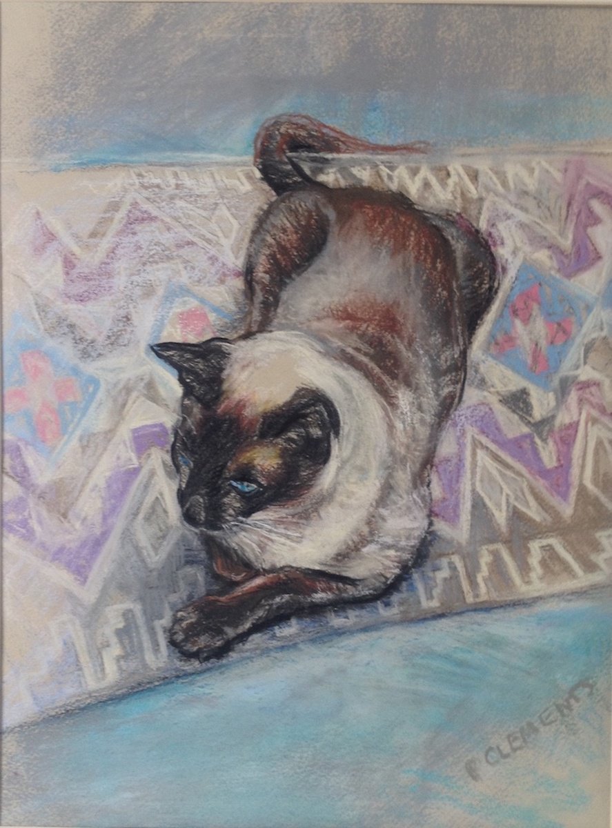 Bob the cat relaxing on coloured mat by Patricia Clements
