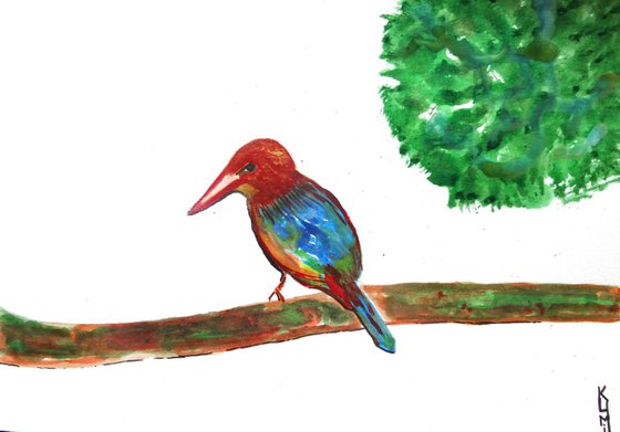 Colourful Bird II