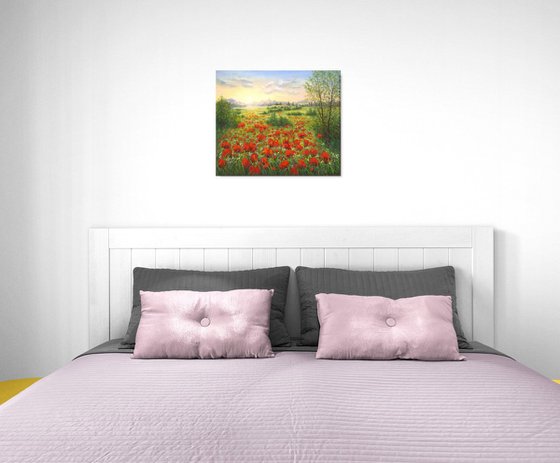 Sunrise on the poppy field