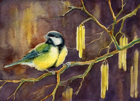 Great tit with hazel tree, wildlife, birds watercolours