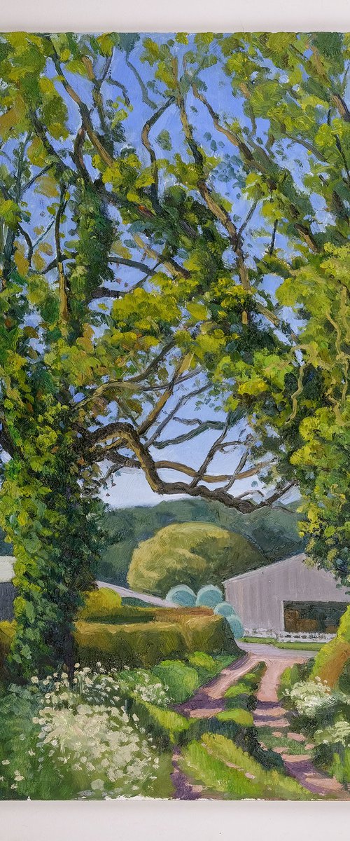 Two Trees and Barns, Kilburn by Jeff Parker