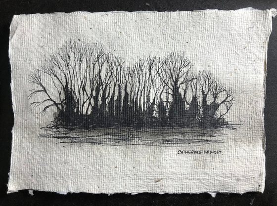 Winter Trees against the Sky in Pen and Ink - Traditional English Landscape -  Flitcham, Norfolk