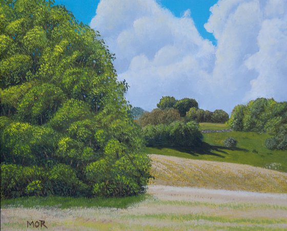 Rural Summer Landscape