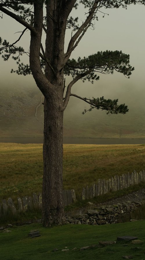 blaenau ffestiniog by Mohamed Hassan