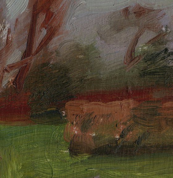 Early Spring in Longford Park