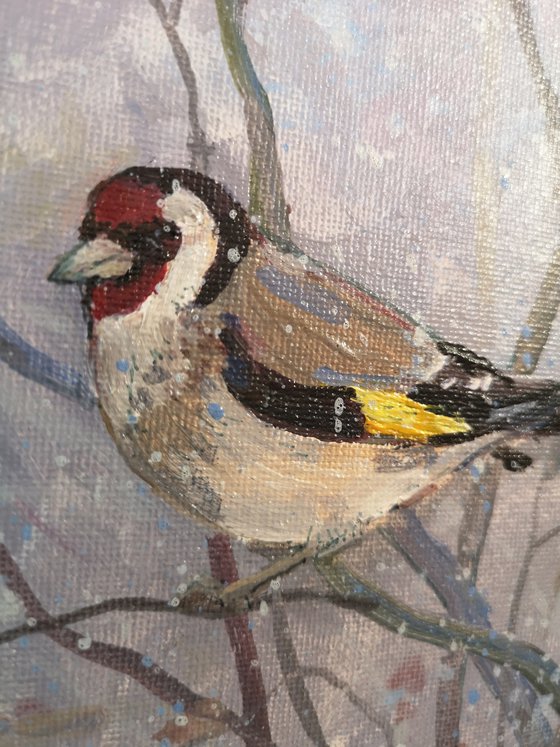 Goldfinch - 2