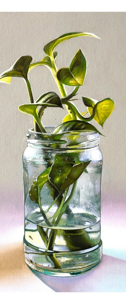 The Sprout in a clear glass by Anastasia Parfilo