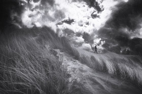 A walk in the dunes
