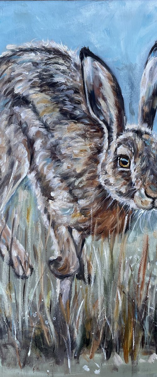 Morning run by Louise Brown