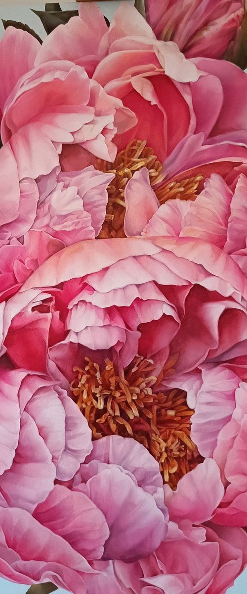 "Pink peonies" by Vasyl Luchkiv