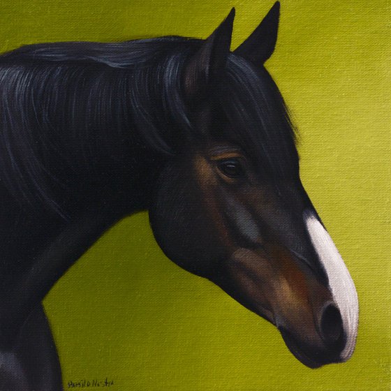 Horse Portrait 82