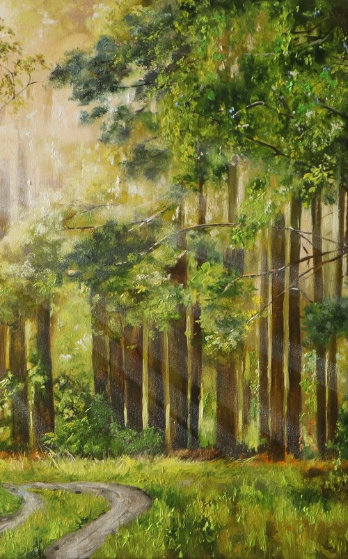 Sunlit Forest Path by Natalia Shaykina