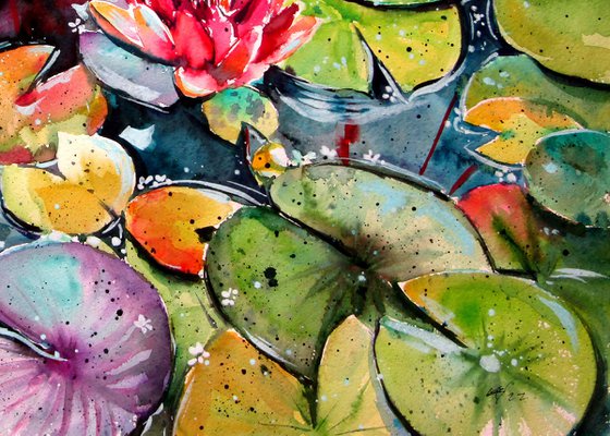 Water lilies