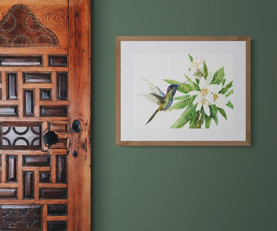 Hummingbird and Plumeria