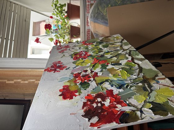 Red geraniums