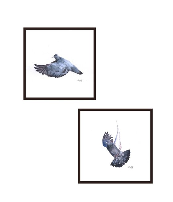 Flying Pigeons