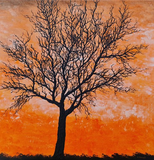 Orange sunset by Daniel Urbaník