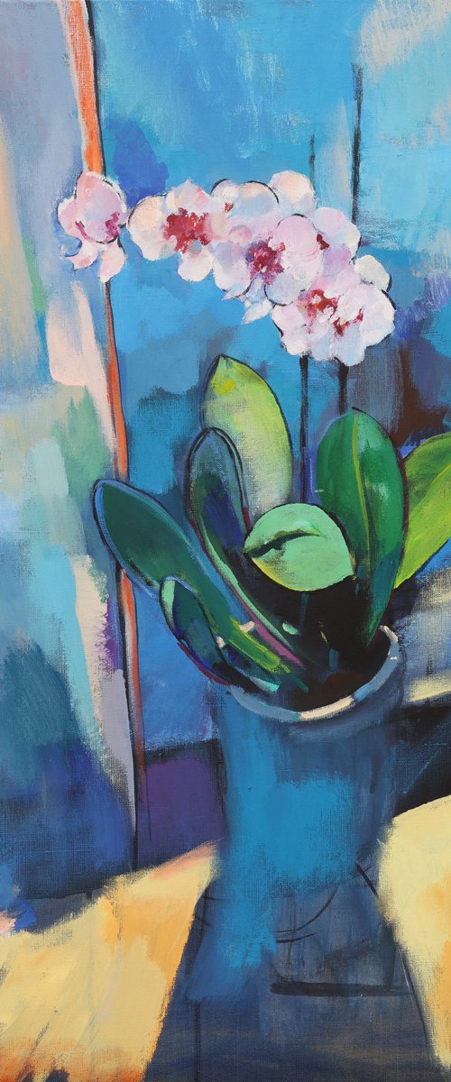 Orchids by Artem Andreichuk