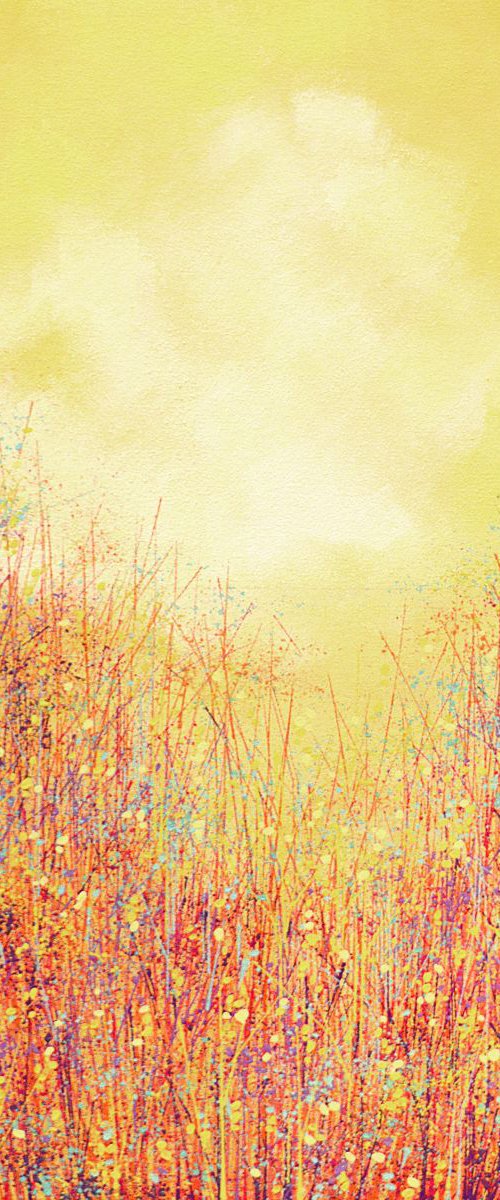 Soft Summer Colours by Marc Todd