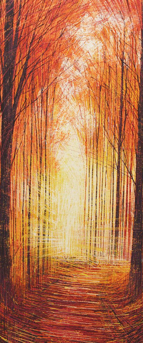 Radiant Light by Marc Todd