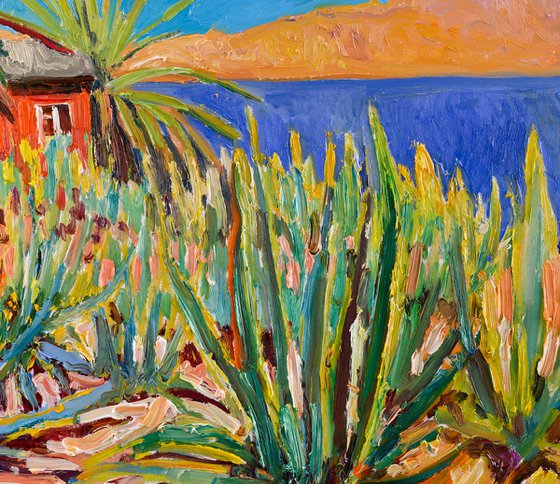 Agaves and Red House