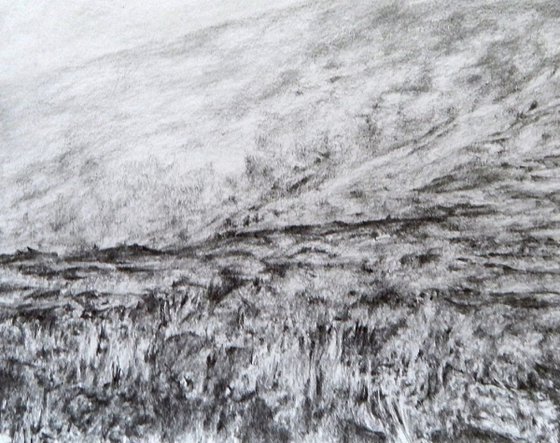 Scottish heather drawing