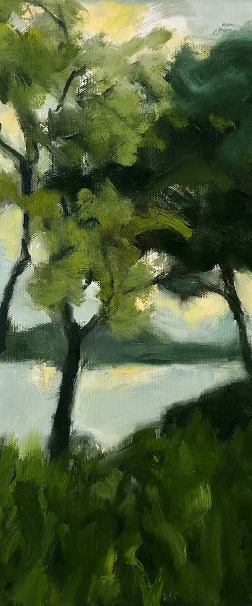 Summer light by Joanna Farrow