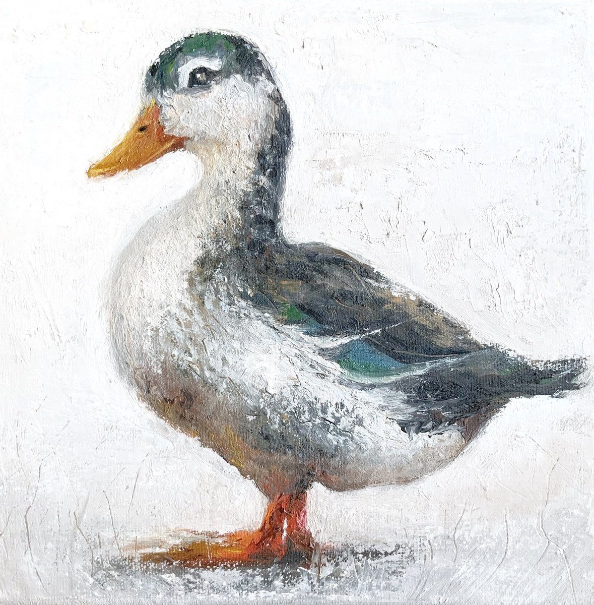 Impressionistic Animal Oil Painting By Alena Post, 8 X 8, Mallard Duck, Original Artwork