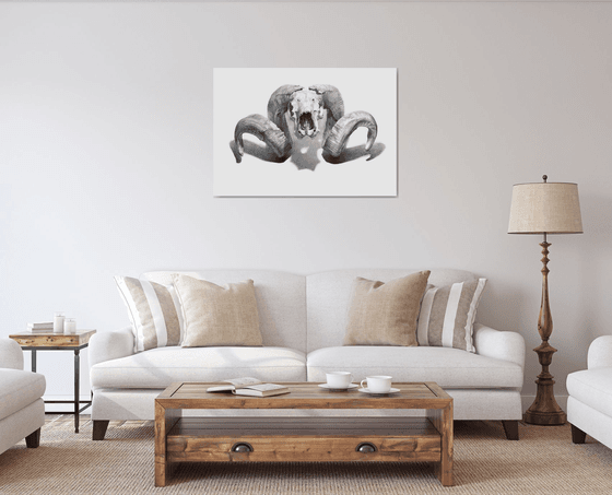 "Pam Skull"