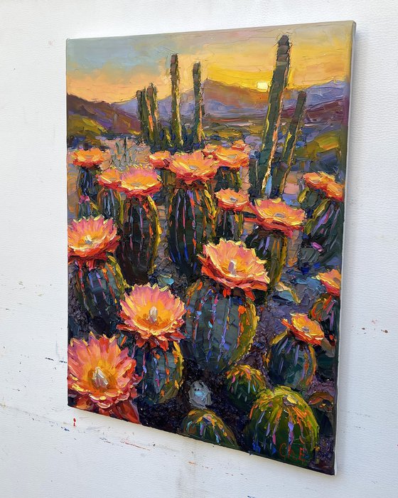 "Morning in Canyon "