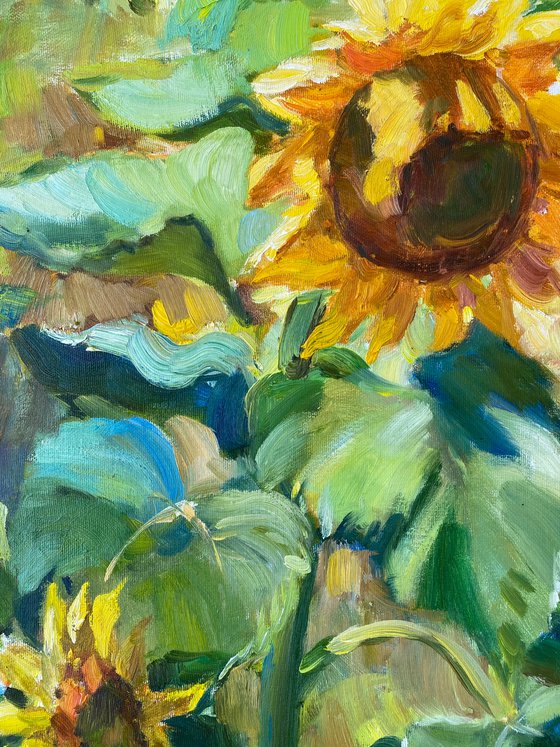 Sunflowers under the sun