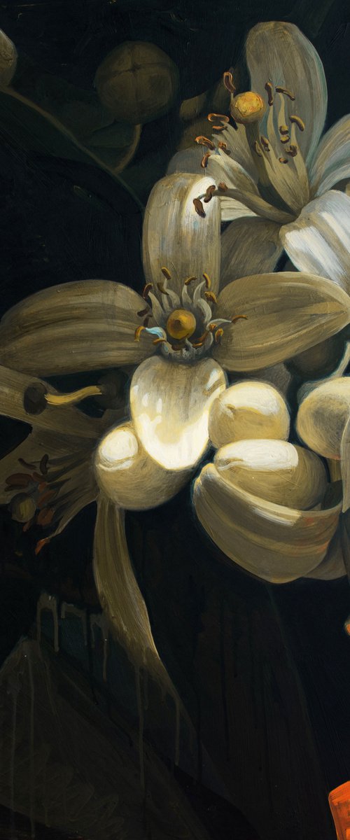 Sicilian Neroli by Hannah Barlag