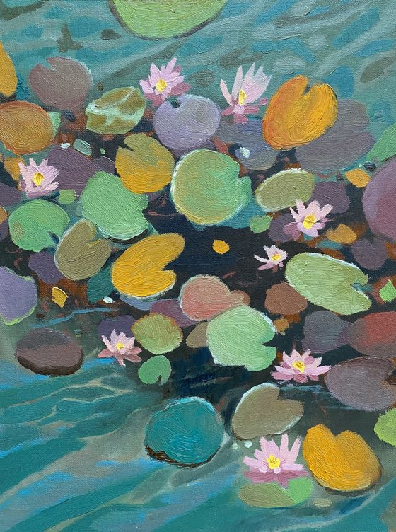Water lilies