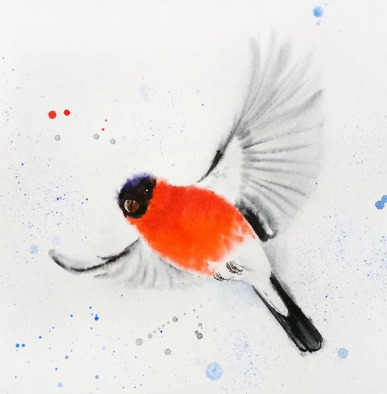 Bullfinch #1 - watercolour - wild bird watercolour - birdwatcher - wild bird art - bird art