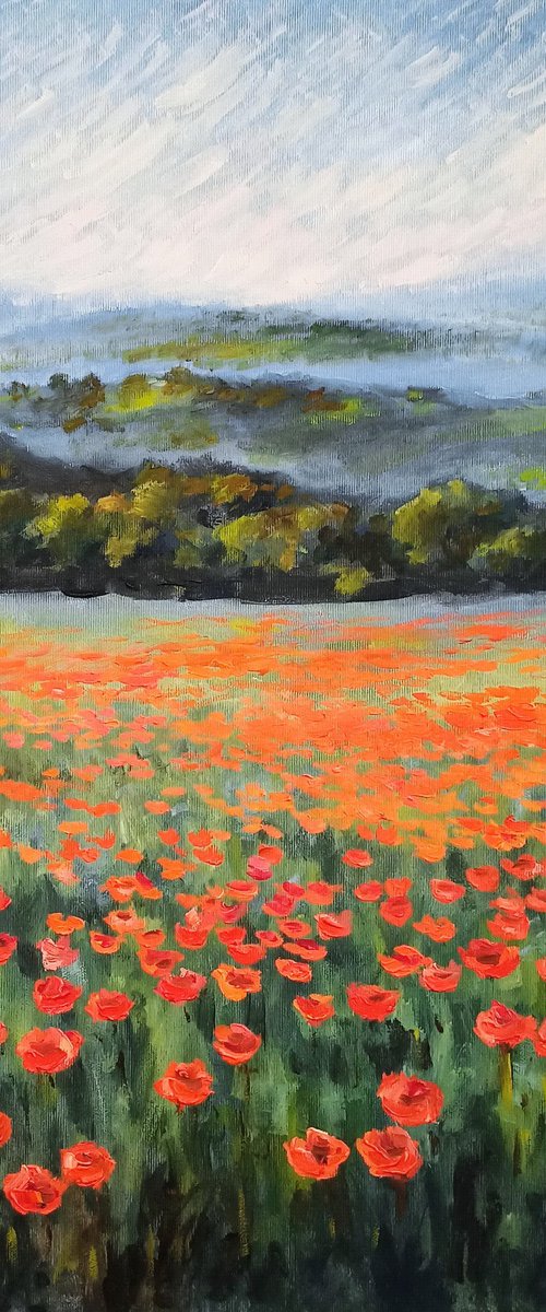 Poppy field in the mountains by Oleh Rak