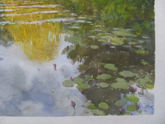 Lotus garden 4