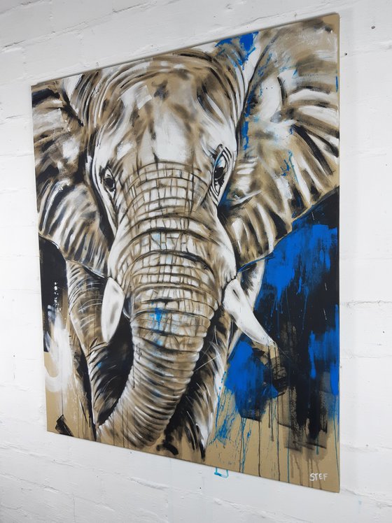 ELEPHANT #15 - Series 'One of the big five'