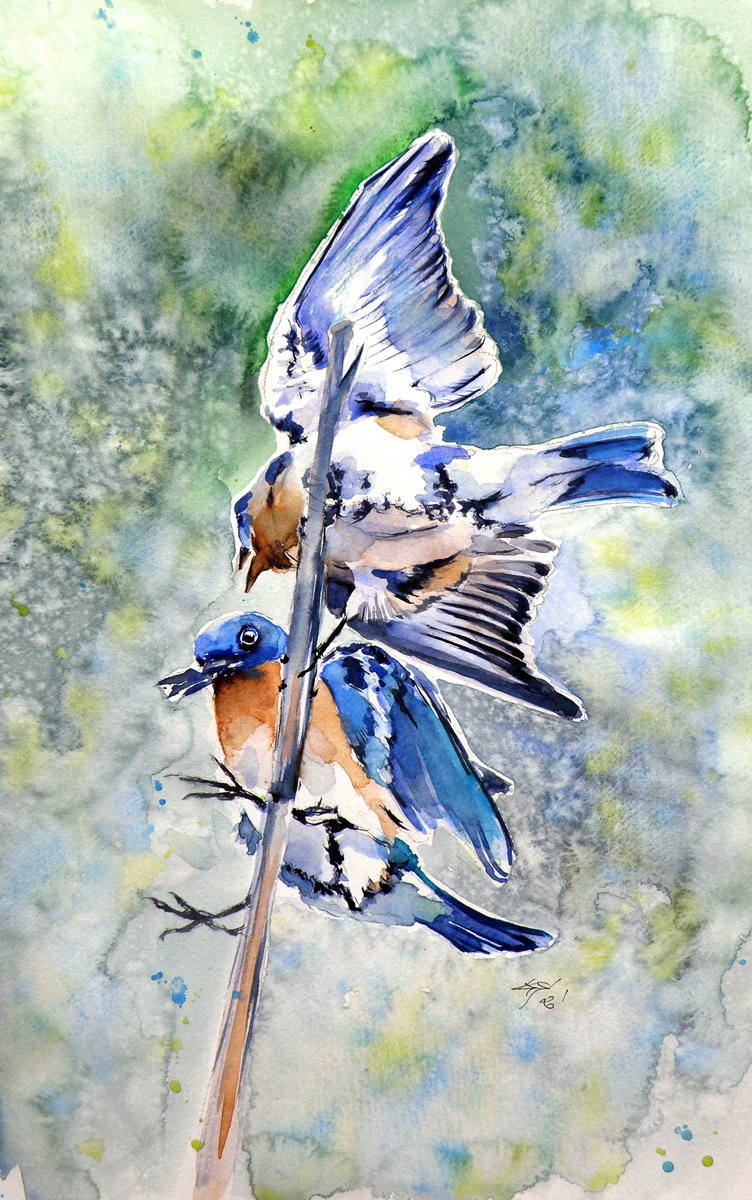 Birds fighting /25 x 38 cm/ by Kovcs Anna Brigitta