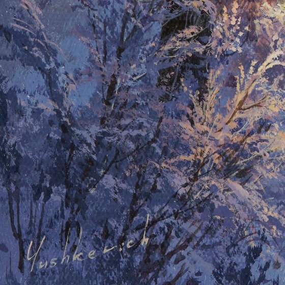 Warm winter light