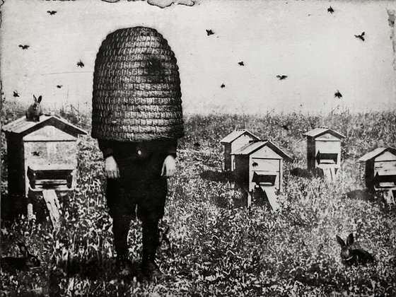 Brood I