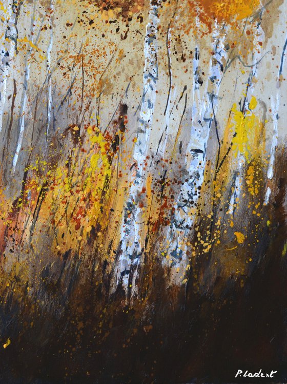 Aspen trees 5624